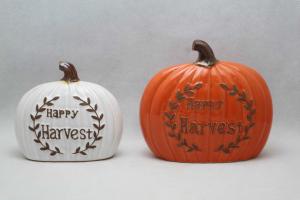 Harvest pumpkin